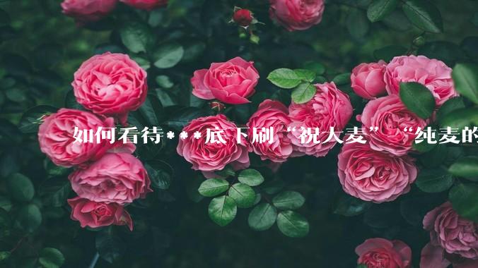 如何看待***底下刷“祝大麦”“纯麦的”等梗的评论？