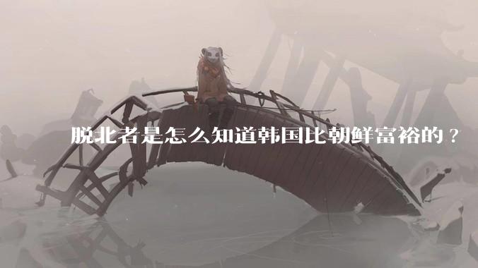 脱北者是怎么知道韩国比朝鲜富裕的?