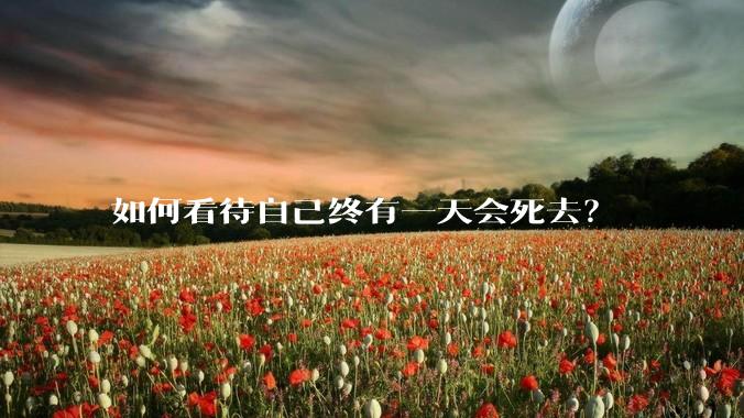 如何看待自己终有一天会死去？