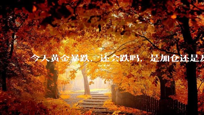 今天黄金暴跌，还会跌吗，是加仓还是及时止损?