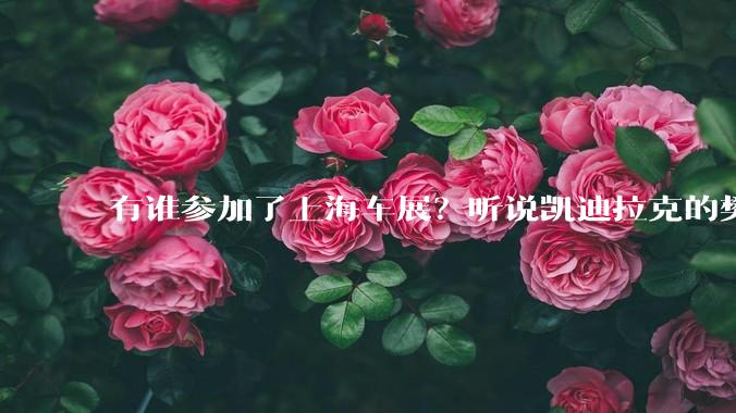 有谁参加了上海车展？听说凯迪拉克的樊振东很周正，被称广东第一帅？
