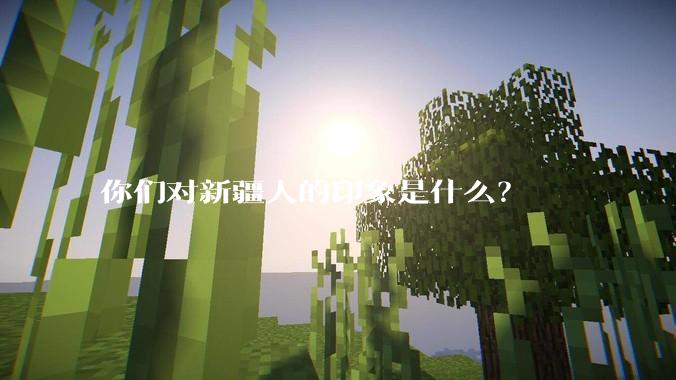 你们对新疆人的印象是什么？