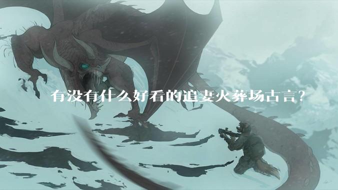 有没有什么好看的追妻火葬场古言？