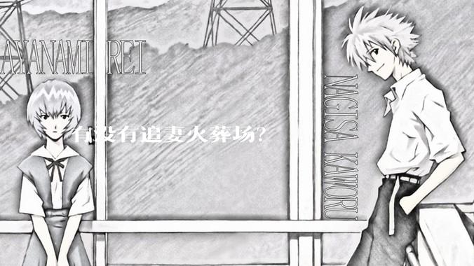 有没有追妻火葬场？