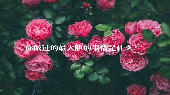 你做过的最大胆的事情是什么？