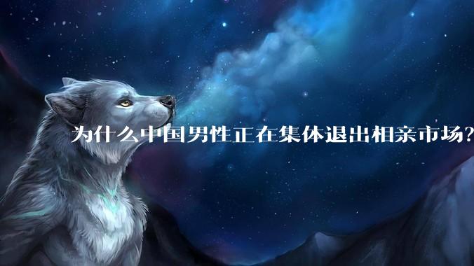为什么中国男性正在集体退出相亲市场？