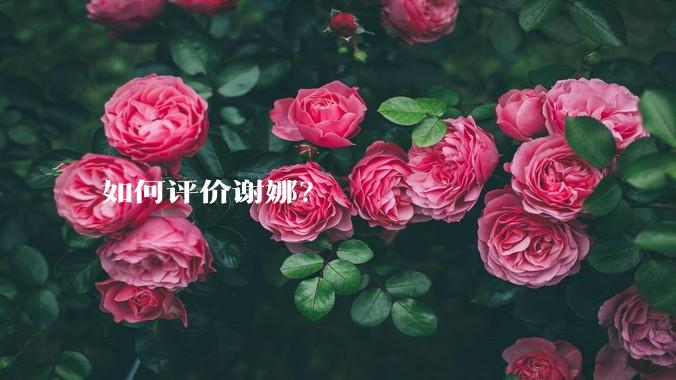 如何评价谢娜？