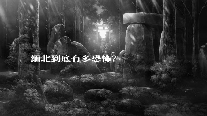缅北到底有多恐怖？