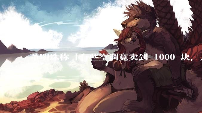 董明珠称「有些空调竟卖到 1000 块，是纸糊的吗」，便宜空调质量一定不好吗？价格战如何影响空调行业？