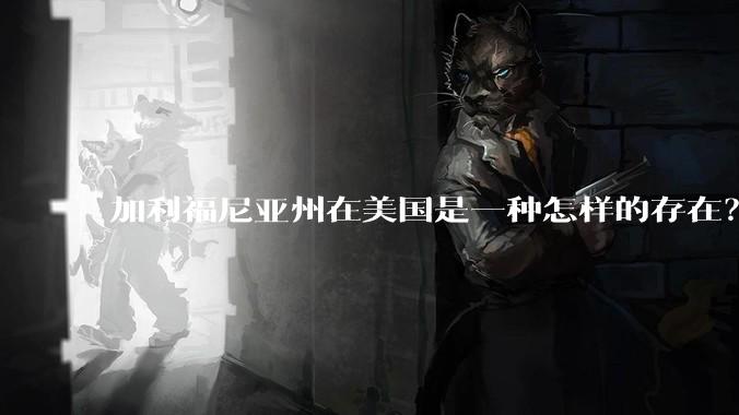 加利福尼亚州在美国是一种怎样的存在？