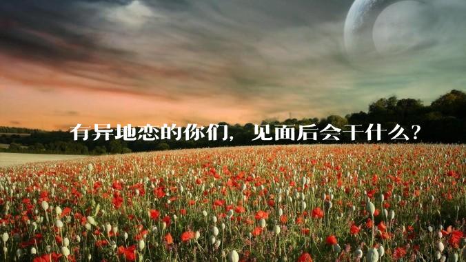 有异地恋的你们，见面后会干什么？