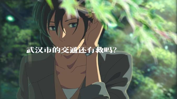 武汉市的交通还有救吗？