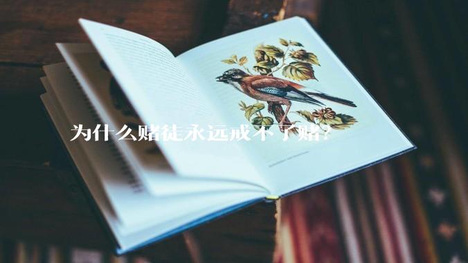 为什么赌徒永远戒不了赌？