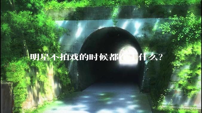 明星不拍戏的时候都在干什么？