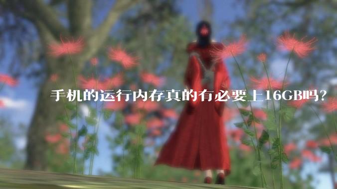 手机的运行内存真的有必要上16GB吗？