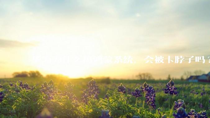 华为为什么搞鸿蒙系统，会被卡脖子吗?
