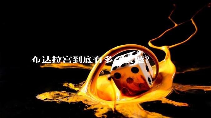 布达拉宫到底有多么震撼？
