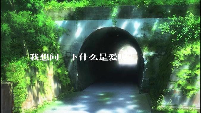 我想问一下什么是爱呢？