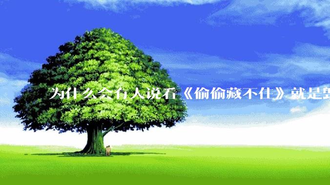 为什么会有人说看《偷偷藏不住》就是毁三观?