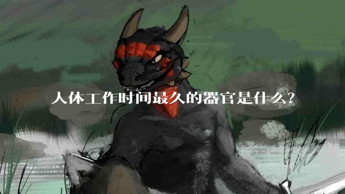 人体工作时间最久的器官是什么？