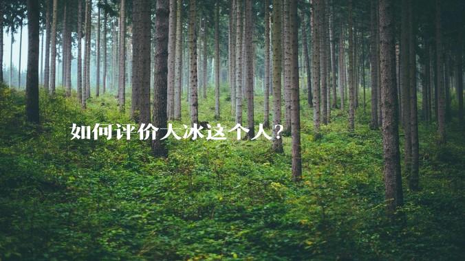 如何评价大冰这个人？