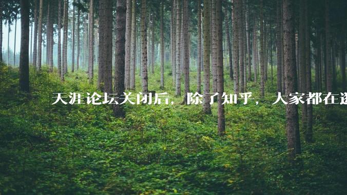 天涯论坛关闭后，除了知乎，大家都在逛什么？