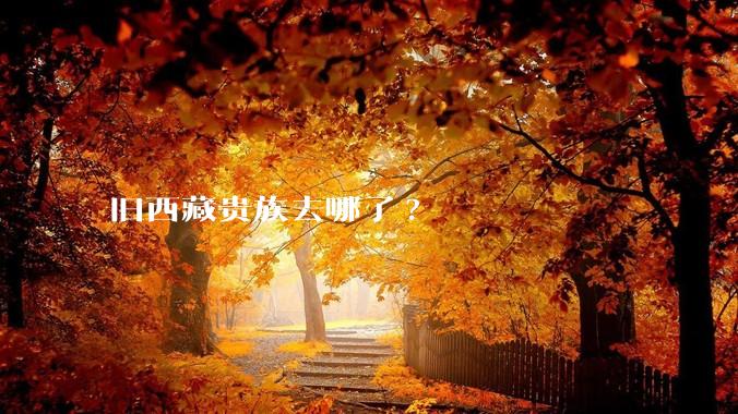 旧西藏贵族去哪了?