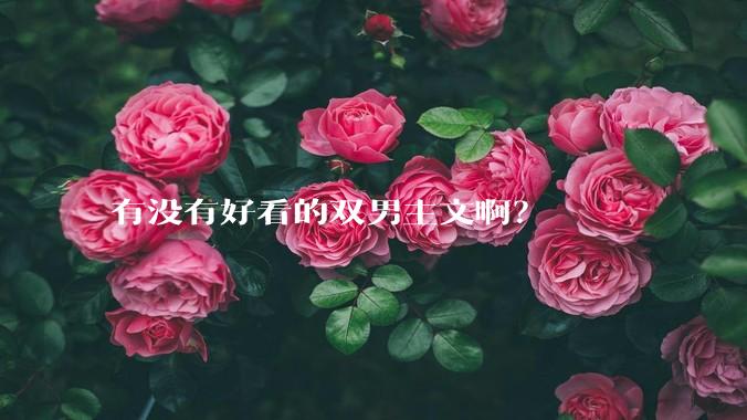 有没有好看的双男主文啊？