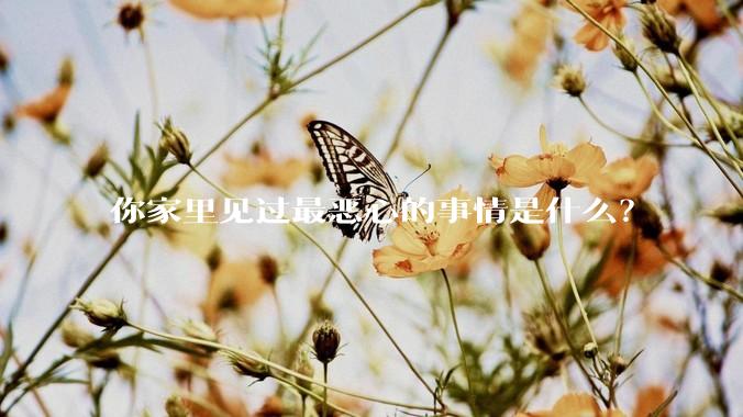 你家里见过最恶心的事情是什么？